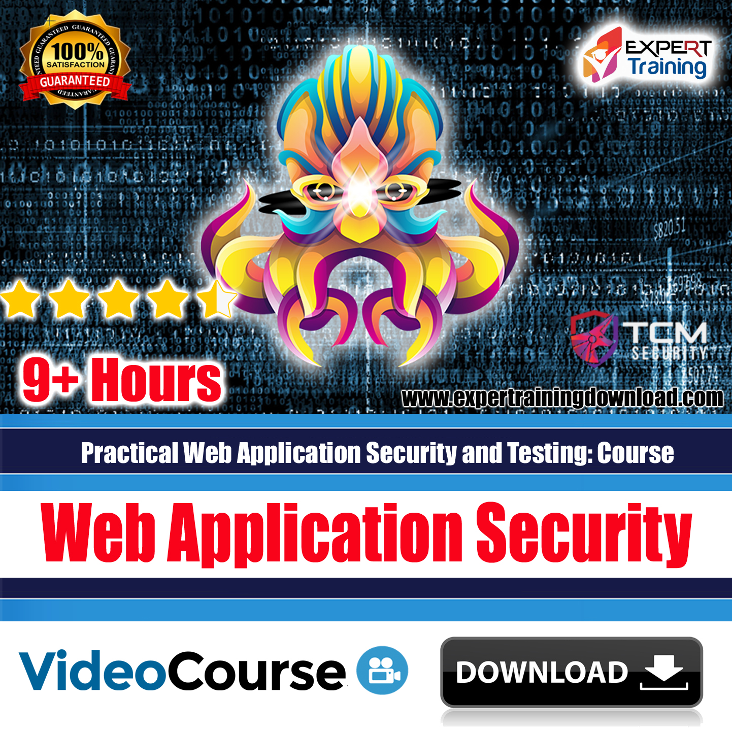 Web Application Security Testing Course
