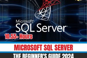 Microsoft SQL Server Beginner's Guide