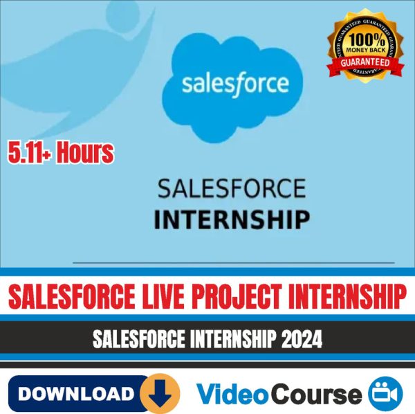 Salesforce Internship 2024 Training