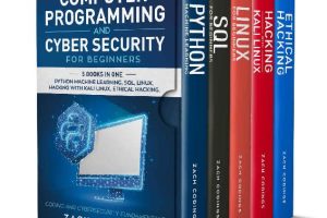Computer Programming and Cybersecurity for Beginners Guide