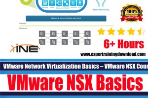 INE VMware NSX Basics