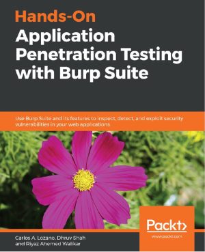 Application Penetration Testing with Burp Suite