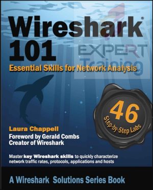 Wireshark 101: Essential Skills for Network Analysis