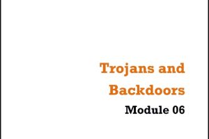 CEHv8 - Module 06 - Labs Trojans and Backdoors