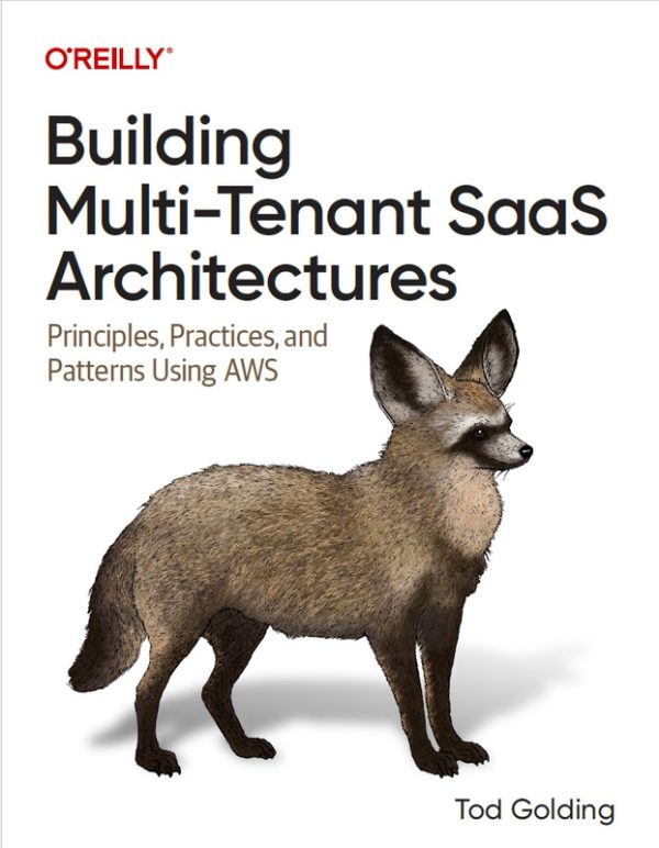 Building Multi-Tenant SaaS Architectures on AWS: Principles, Practices, & Patterns (2024)