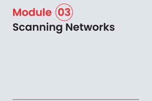 CEHv13 Scanning Networks Guide