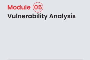 CEHv13 Vulnerability Analysis Guide