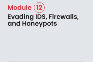 CEHv13 Evading IDS Guide