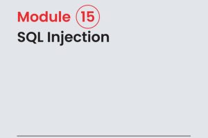CEHv13 SQL injection attacks