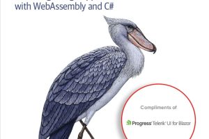 Learning Blazor: Build Modern Web Applications with .NET (2023)