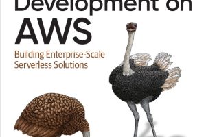 Serverless Development on AWS: Enterprise-Scale Solutions for 2024