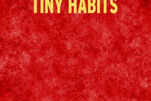 The Small Changes That Change Everything by BJ Fogg PhD Fireside