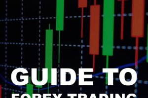 Guide To Forex Trading 30-Min Daily Trading Strategy by Zindel, Jeremy
