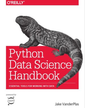 Python Data Science Handbook: Essential Tools & Techniques