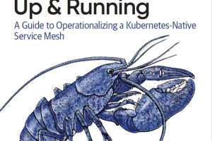 Linkerd Up & Running: Kubernetes-Native Service Mesh Operational Guide (O’Reilly, 2024)