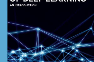 Mathematics of Deep Learning: A Beginner’s Guide (De Gruyter, 2023)