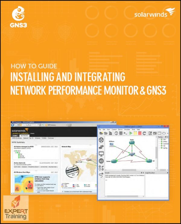 GNS3 NPM Integration Guide