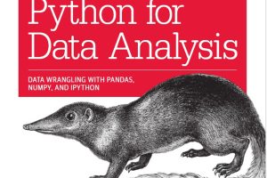 Python for Data Analysis: Pandas, NumPy & IPython Guide