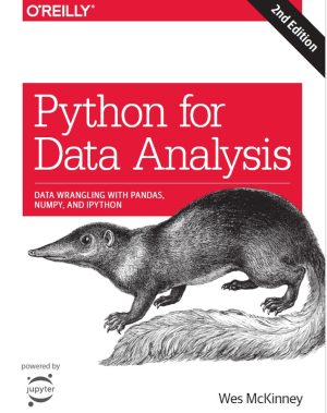 Python for Data Analysis: Pandas, NumPy & IPython Guide