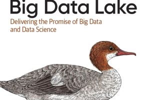 The Enterprise Big Data Lake: Delivering Big Data Value