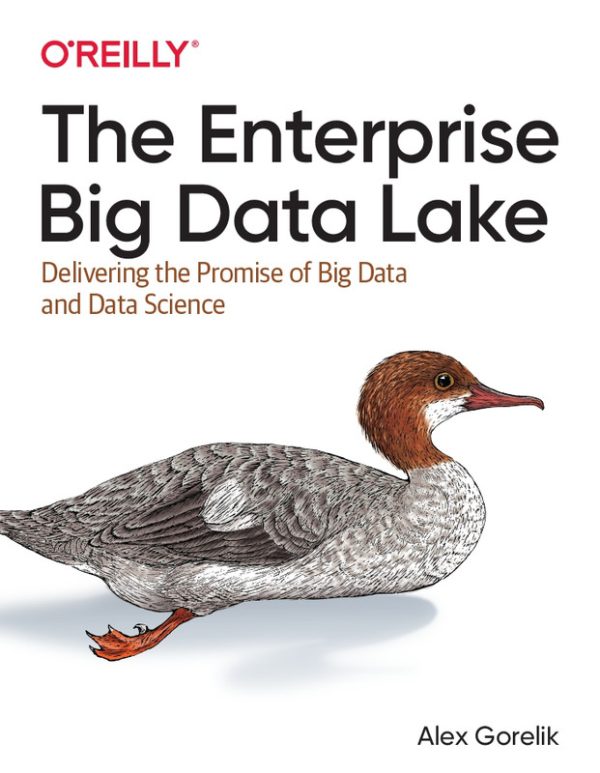 The Enterprise Big Data Lake: Delivering Big Data Value