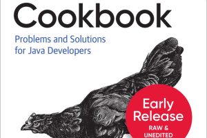 Problems and Solutions for Java Developers Early Release