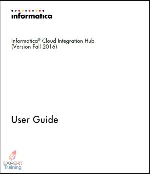 Informatica Cloud Integration Hub