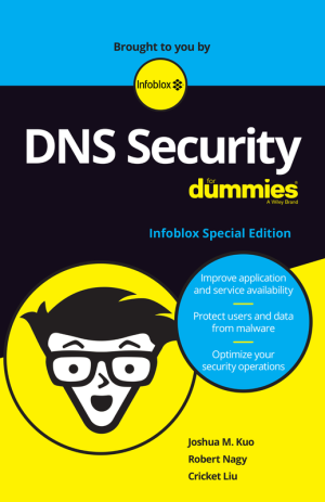 DNS Security for Dummies: Learn from Kuo, Nagy, and Liu