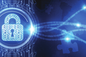 Data Privacy Principles and Practice