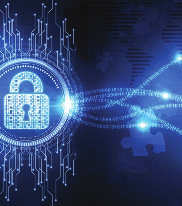 Data Privacy Principles and Practice