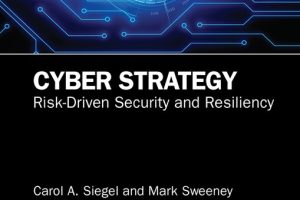 Cyber Strategy: Risk-Driven Security and Resiliency (2020)