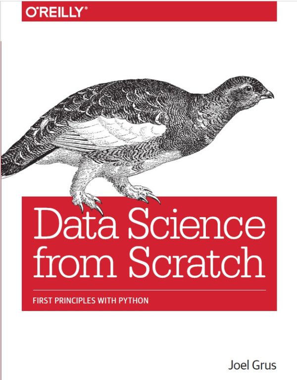 Data Science from Scratch: Foundations for Beginners
