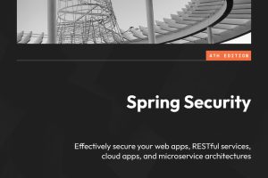 Spring Security Web Apps