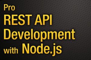 Pro REST API Development with Node.js