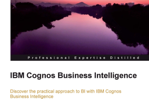 IBM Cognos Business Intelligence
