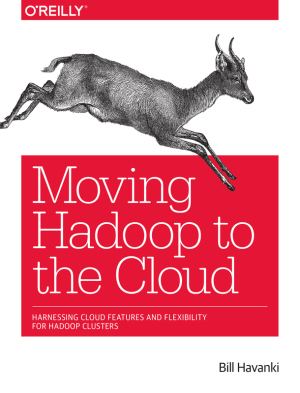 Moving Hadoop to the cloud