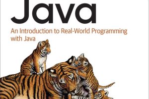 An Introduction to Real-World Programming with Java
