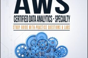 AWS Certified Data Analytics Study Guide (Specialty DAS-C01 Exam – Sybex 2020)