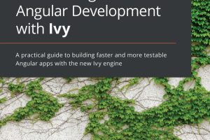 Accelerating Angular with Ivy: Build Faster & Testable Apps