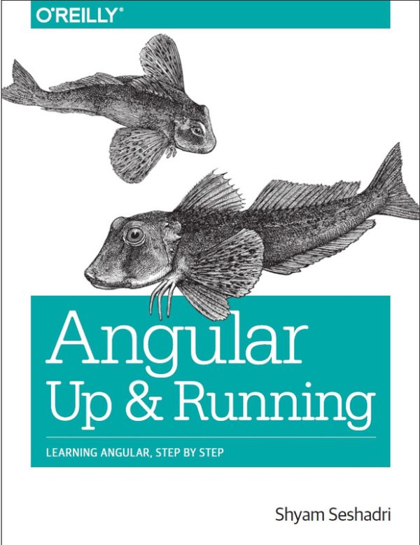 Angular Up & Running: A Step-by-Step Learning Guide