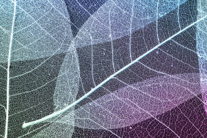 C++ Reactive Programming with RxCpp Library