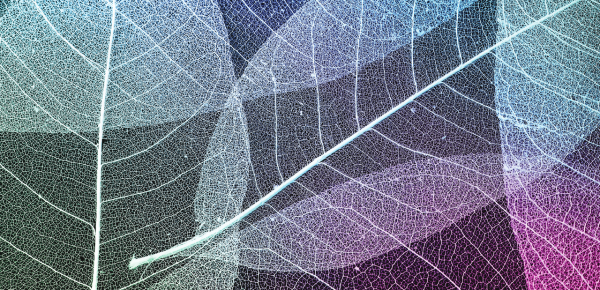 C++ Reactive Programming with RxCpp Library