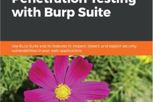 Hands-On Application Penetration Testing with Burp Suite
