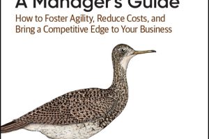 Migrating to AWS - A Manager's Guide