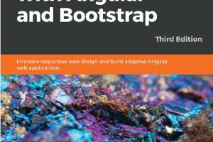 Web Development with Angular & Bootstrap: Build Responsive Applications