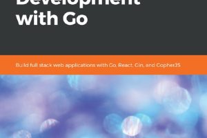 Hands-On Full Stack Development with Go, React & Gin (2024)