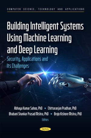 Building AI Systems: Security, Applications & ML Solutions