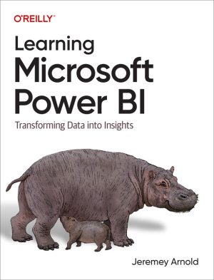 Learning Microsoft Power BI: Transform Data into Insights (2023)