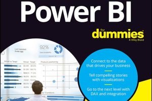 Power BI For Dummies: Business Intelligence Made Simple (2022)
