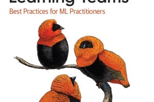 Effective ML Teams: Best Practices for AI Practitioners (2024)